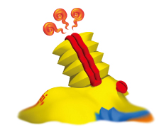 nedzigon2